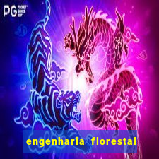 engenharia florestal ead cruzeiro do sul